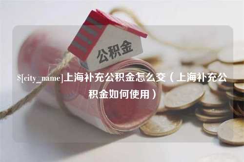 通许上海补充公积金怎么交（上海补充公积金如何使用）